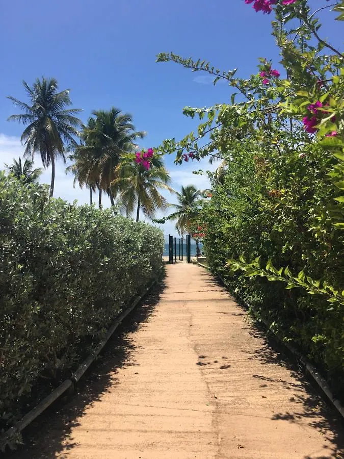 Studio Vue Mer Le Gosier Sans Coupure D'Eau Guadeloupe